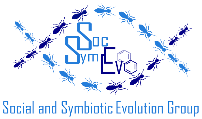 SSE Logo